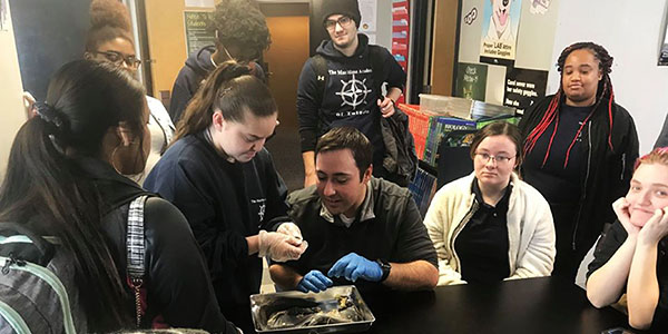 Biology Class Snake Dissection